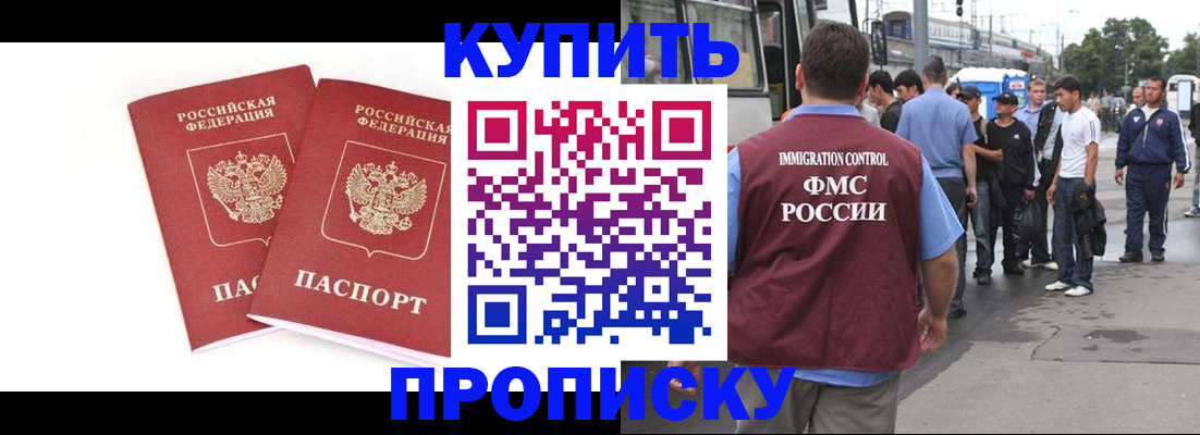 форма 3 в Камчатском крае